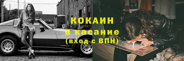 твердый Дмитров