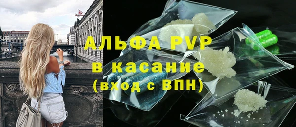 бошки Гусев
