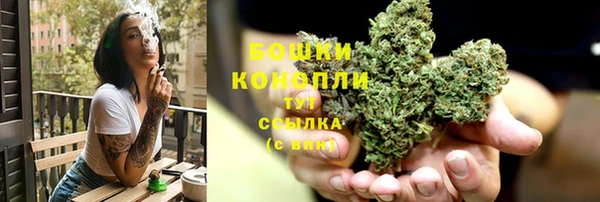 бошки Гусев