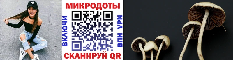 Галлюциногенные грибы мицелий  Мончегорск 